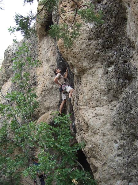 Matt Price sussing it out on The Blind Prince; Scott Beguin hides amongst the trees...