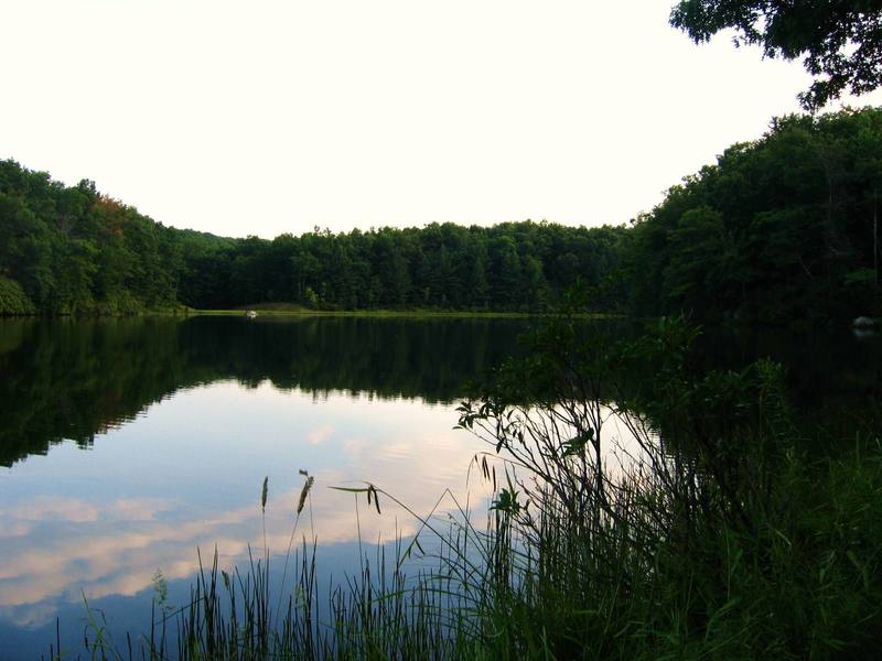 Summer evening at Boley Lake, Babcock State Park (just a few miles from NRG).