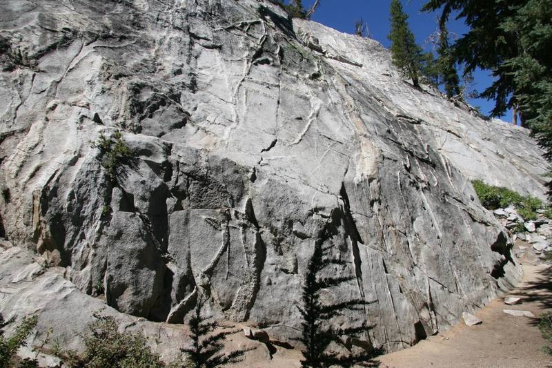 Left Section - Wrangler and Horseman go up the center.