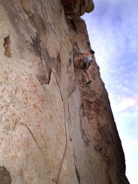 Susan on a twilight lead, 8/25/07