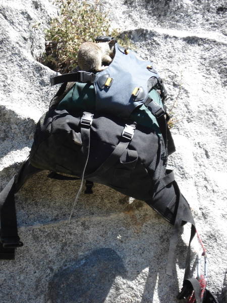 Be careful of where you leave you pack, especially if there are snacks in it. When you come back there may not be much of a pack left