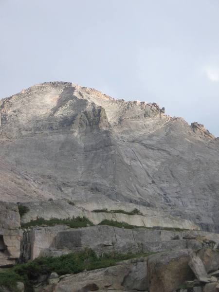 N. Buttress