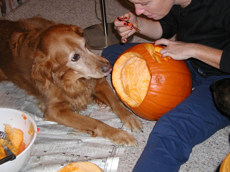 Shelby decided she wanted to help carve pumpkins with Kelley.