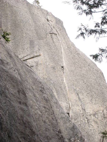 The amazing finger crack of Sunblessed