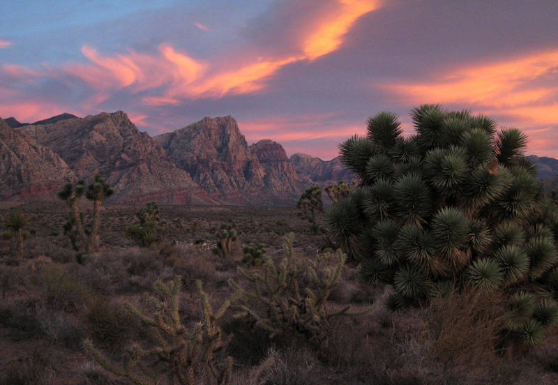Sunrise over Red Rocks taken from the drive-in approach to Black Velvet Canyon.
