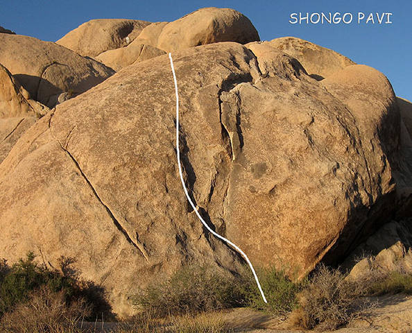 "Shongo Pavi".<br>
Photo by Blitzo.