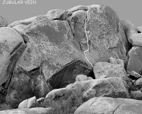 "Jugular Vein".<br>
Photo by Blitzo.