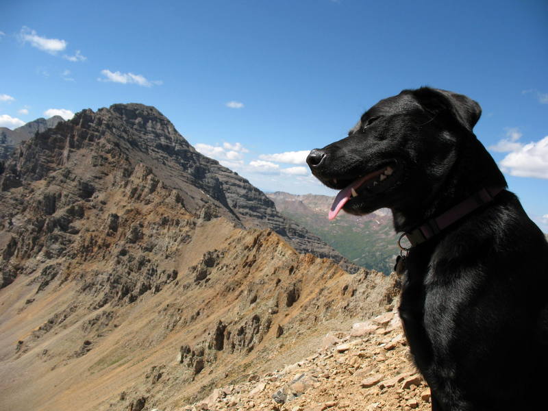 Jack feelin' the Rocky Mountain high, Electric Pass. Castle Peak is in the background, which J-Dog summited the day before.