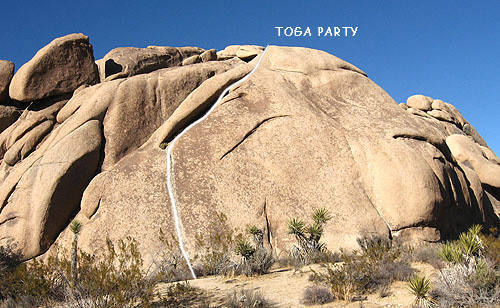 "Toga Party".<br>
Photo by Blitzo.