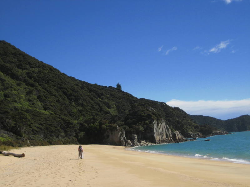 Great Walk #2: The Abel Tasman Coast Track near Nelson. We had this place to ourselves, but in the high season this beach and many others along the track are swarming with hikers, kaykers, fishermen, motorboaters, etc...