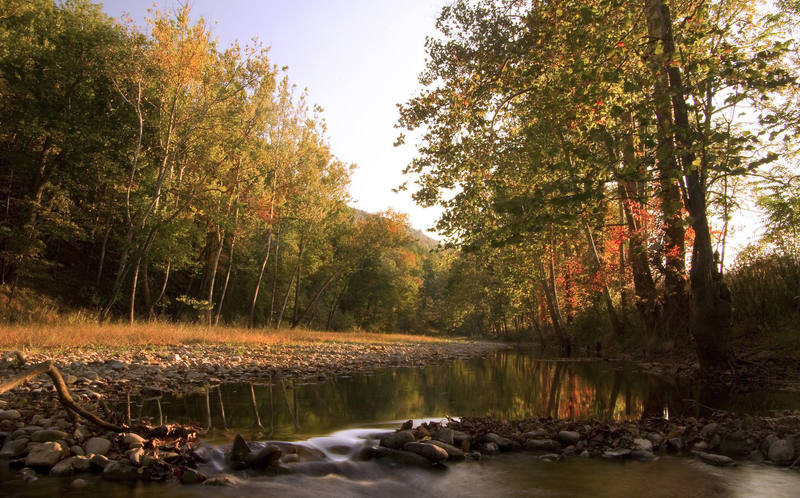 Seneca Creek in evening fall colors.