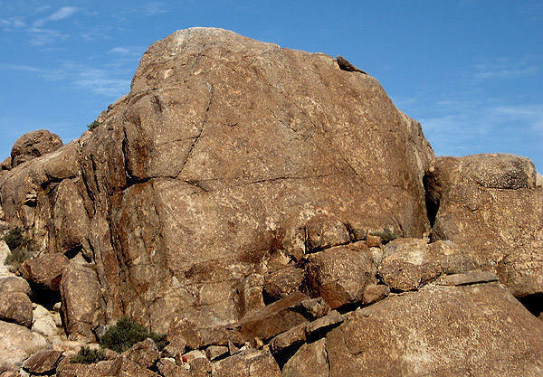 Everybody But Larry Rock.<br>
Photo by Blitzo.