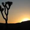 The end of another great day, Joshua Tree NP 