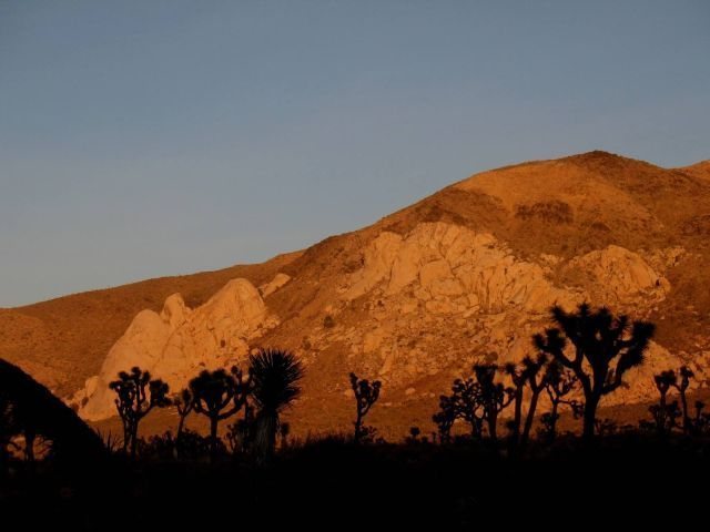 Saddle Rocks and Cowboy Crags from the Sandy Wash Corridor, Joshua Tree NP