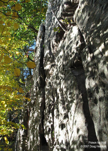 The east end of Poison Ivy Wall, looking west.  There is an orange rope hanging on "Say Cheese," left of the wide crack, "Deception."
