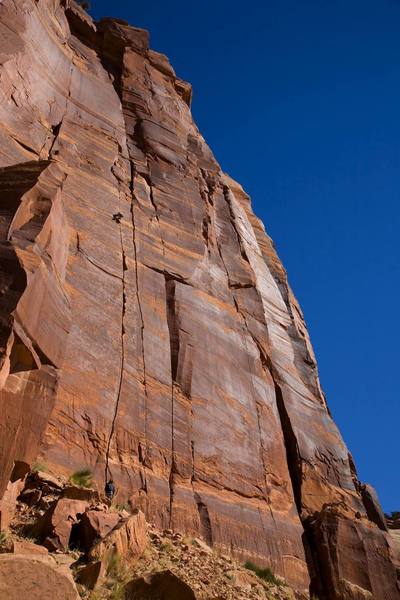 Into the crux on Rock Lobster. To the right are Inflictor 12-, Polygrip 11+, and Rhythym method 12.<br>
<br>
Photo by Alex Cooper