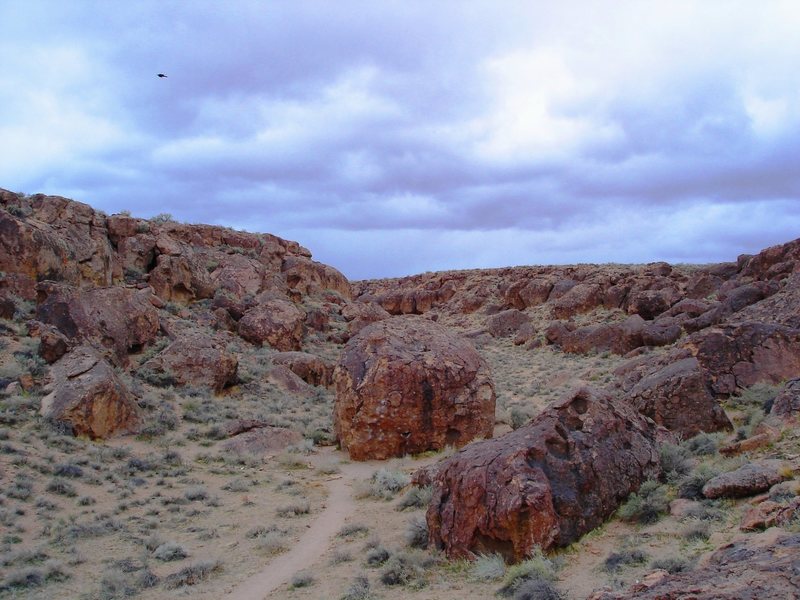Looking up canyon at the Serengeti Boulder (center), featuring "Serengeti" v5