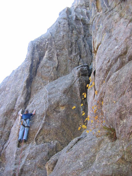 Mark Schwartz starting out on Waves.