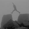 On a misty day Scott Nomi makes the leap...