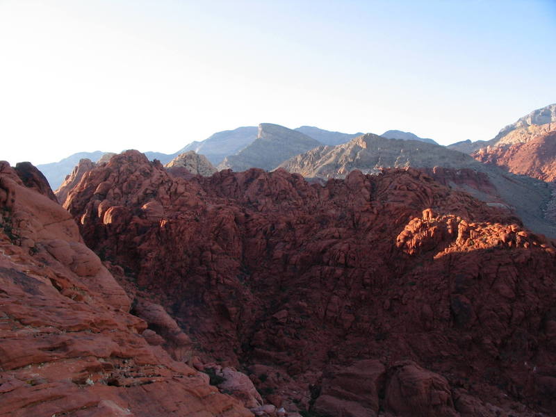Turtle head peak from the top of physical graffiti on the Riding hood wall
