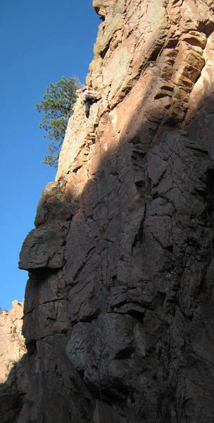 Above the crux on Entrapment. From her stance to the chains is the second crux--avoiding putting her hands in the cactus near the anchor!