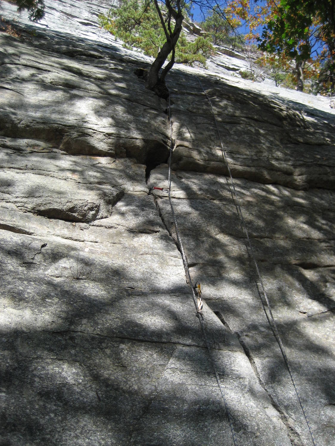 Finger Locks or Cedar Box