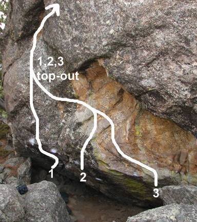 1 Bicep Traverse<br>
2 Development Arrested<br>
3 T.M.T