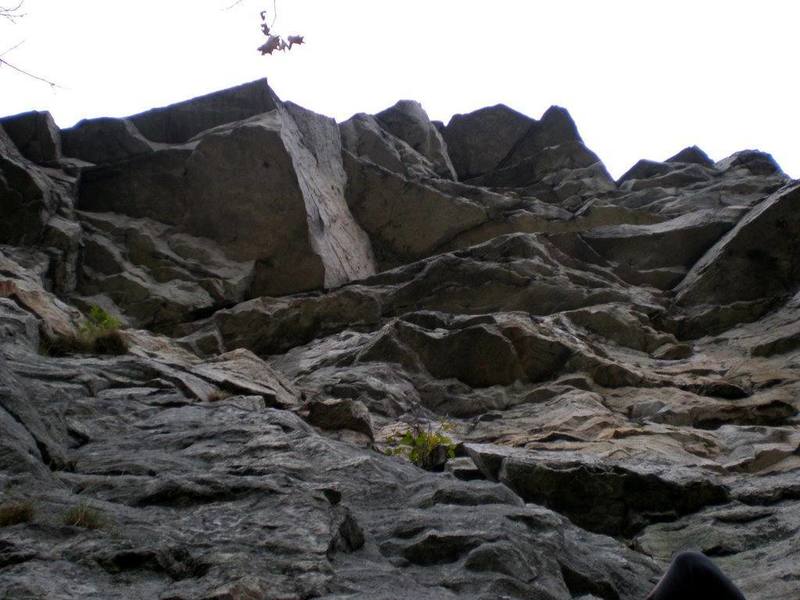 Erect Direction, P2 and P3.