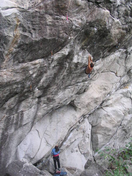 Ginseng. Tightrope climbs the line of draws to the left. Photo by Adam Holmes.