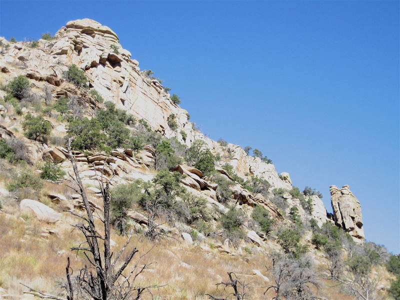 Forgotten Wall and the Control Tower from the canyon bottom about 5 minutes from the trail up.