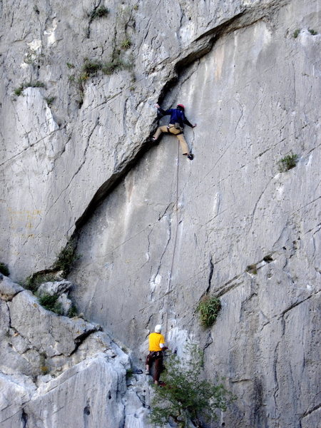 Phil stepping out of the hueco on "Milk Cow Blues".