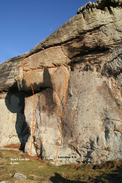 Tiger Wall Right End Topo