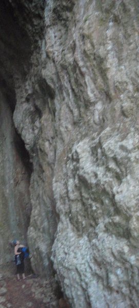 Dec 29, 2007 - Scoping out Miel Regala (5.9) in the La Cueva area of Bayamon II.