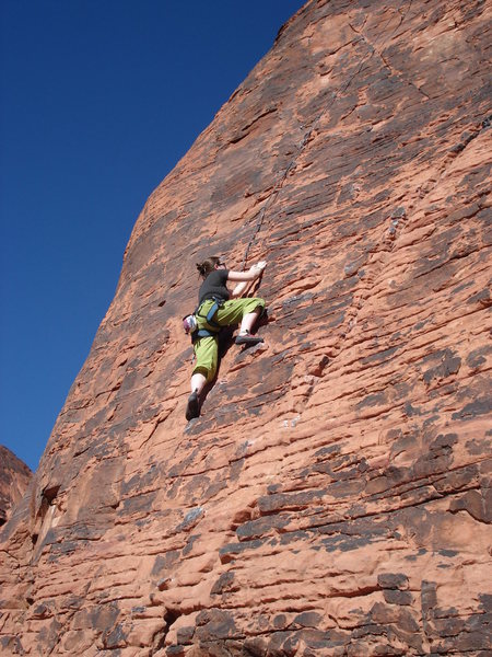Nicole Hansche farther up in to Electric Kool-aid and enjoying it...