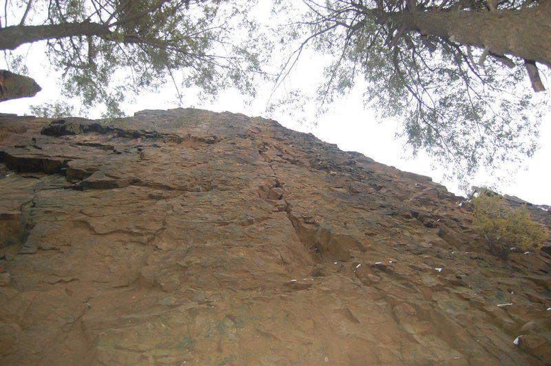Face containing (L to R) Realm of the Senses (5.9), Millions of Dead Dogs (5.10) and Saturday Night Special (5.8+).