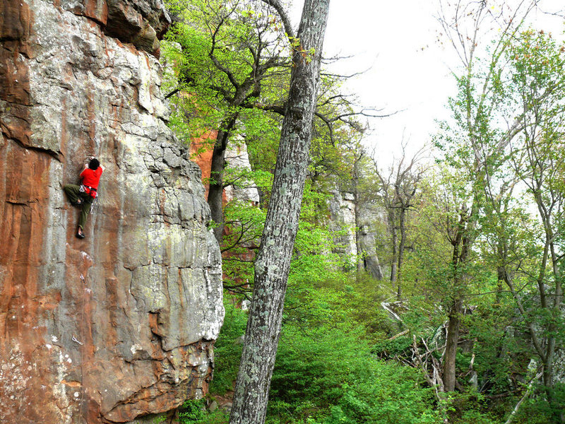 Dustin Cruseturner on Horseshoes and Handgrenades, 11a, Horseshoe Canyon Ranch, Ark.