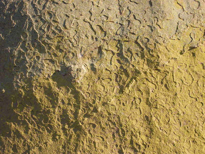 Bolting routes in Cochise is generally avoided, not because of any lack of possible lines, but because of ethics. Here is a portion of a 100-200 foot wall full of plates and gator skin. The extremely featured face is viewed from the End Pinnacle summit. Photo taken by Kelly Hartman.