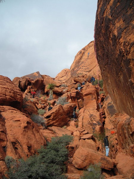 Like a herd of bighorn sheep, the college climbing club descends into Red Rock. "Oh my god! This place is so awesome!"  "Are they climbing a route?  Where are the bolts?"  "Ashley, are we climbing up that way?" "I love how it's so quiet out here."
