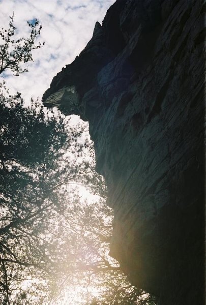 At sunset and alls quiet!!<br>
Pigs In Zen!<br>
Photo: Brad Killough