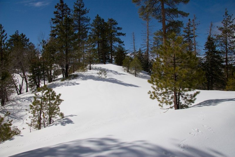 A Snowy slope on Keller Peak
