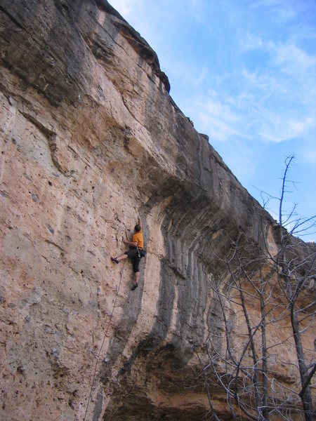 The excellent unknown route on the far right end of the Mad Cow Wall. Reaching for the 1/2" edge below the crux bulge.