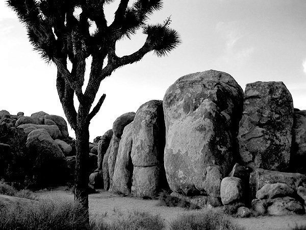 Forgotten Boulders-west side.<br>
Photo by Blitzo.