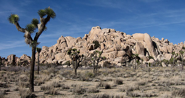 Real Hidden Valley Houser Buttress area.<br>
Photo by Blitzo.