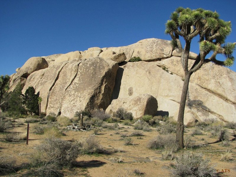 Peyote Cracks