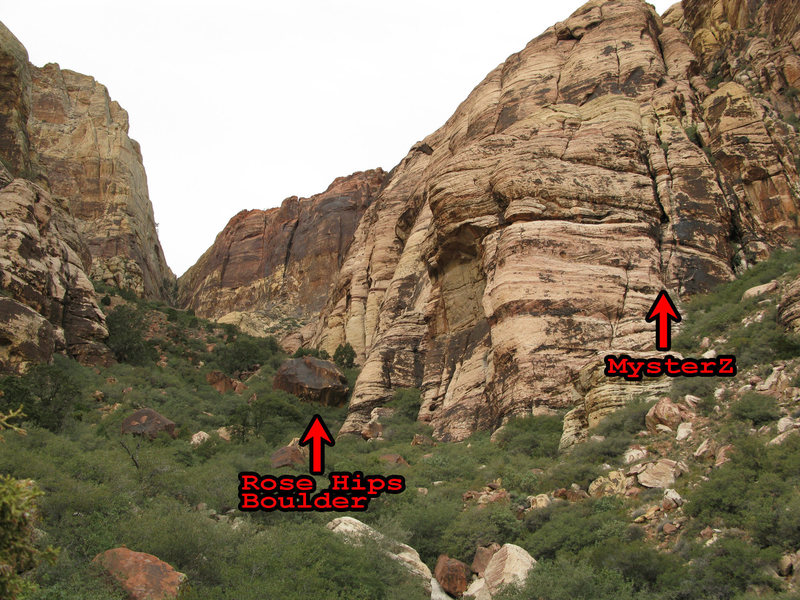 Rose Hips is located on the right of the boulder.