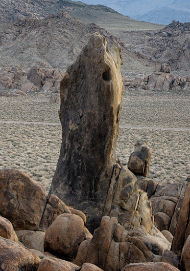 Burnt Penis from Poodle Wall.<br>
Photo by Blitzo.
