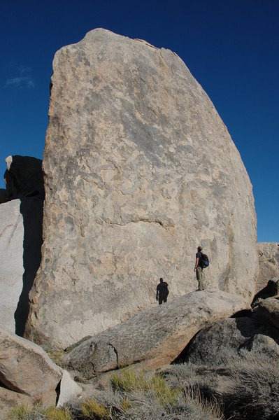 The Druid Stone by Simon Majors