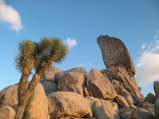 Climbers atop Headstone Rock, Joshua Tree NP