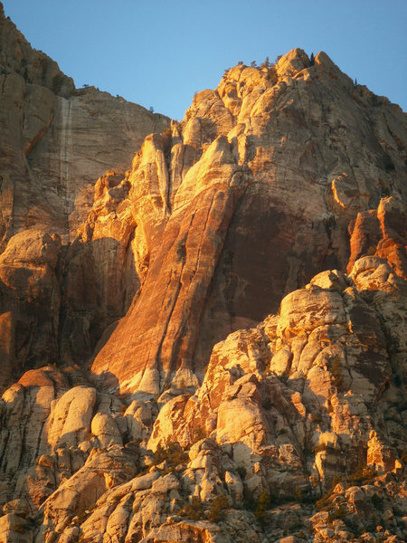Morning Sun hits the flower. Cinnamon Hedgehog and The Warrior are prominent lines that go up the buttress