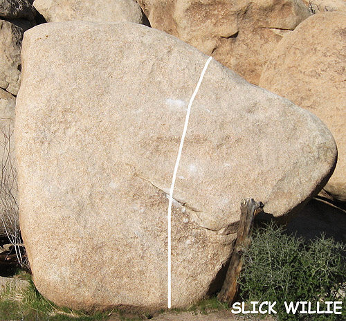 "Slick Willie".<br>
Photo by Blitzo.
